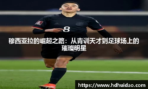 333体育官网